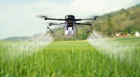 Remote controlled drone spraying water over green fields