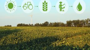 Sustainable Farming - Alexander Accountancy Burton