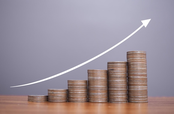 Pilot scheme – Potential fraudulent Bounce Back Loan Applications