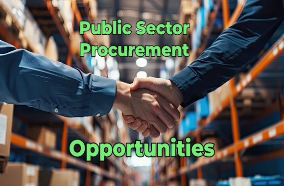 Public sector procurement: